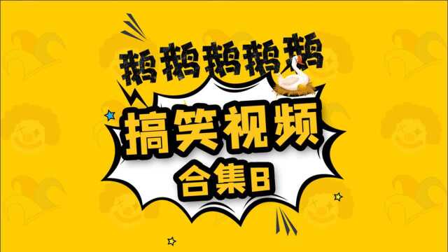 搞笑视频 合集B