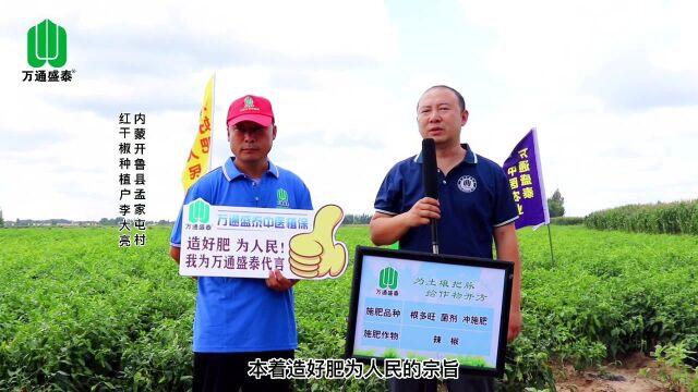 内蒙开鲁县孟家屯村红干椒种植户李大亮采访