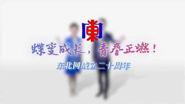 走过二十年正青春,东北网始终相伴