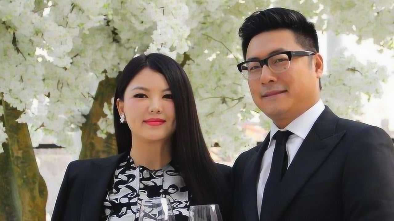 离开湖南卫视后老公王岳伦拍电影又不赚钱李湘为何还那么有钱