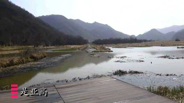 神农架林区大九湖景区位于渝鄂交界处,是亚高山的一片湿地,大九湖(一)