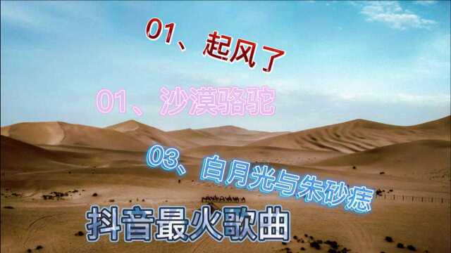 抖音最火歌曲《起风了》《沙漠骆驼》《白月光与朱砂痣》