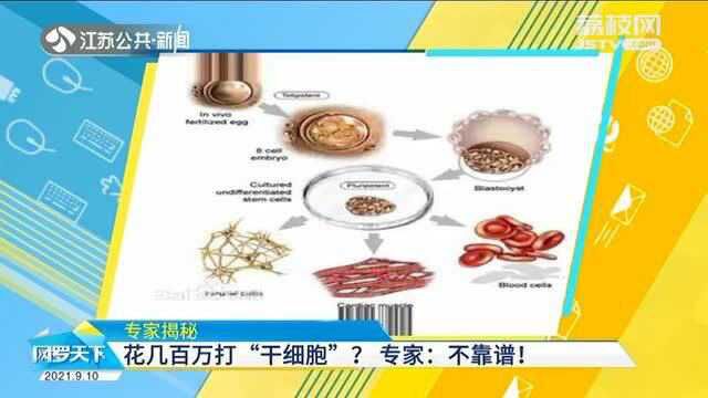 万能的干细胞!干细胞可以抗衰老?1小时花156万元能年轻20岁?