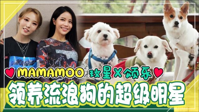 《动物农场》找来动物农场的特别客人!MAMAMOO 玟星 X颂乐的幸福时间!