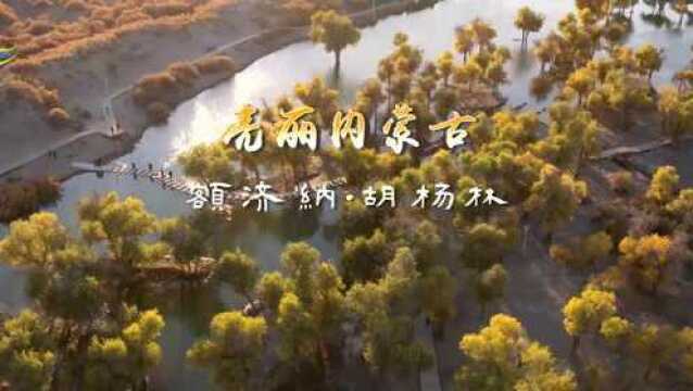 亮丽内蒙古系列短片——额济纳胡杨林