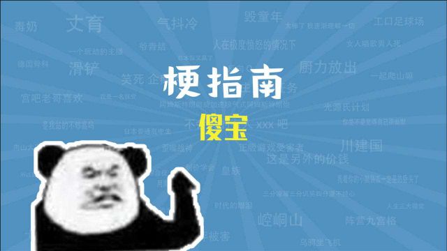 傻宝是什么梗【梗指南】