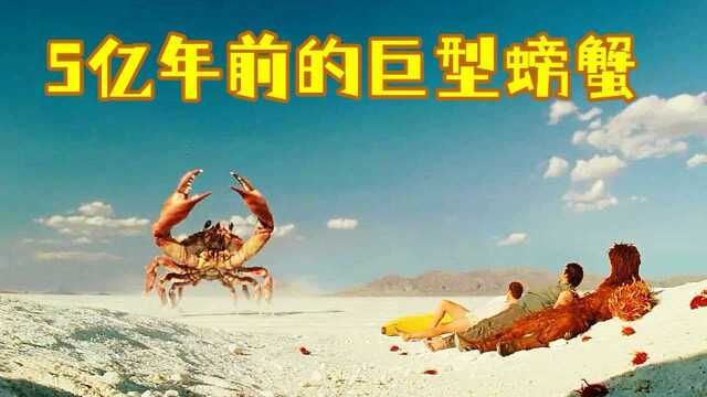 5亿年前的螃蟹有多大?