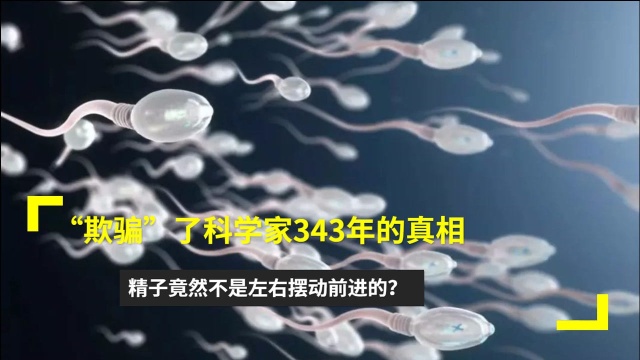 “欺骗”了科学家343年的真相:精子竟然不是左右摆动前进的?