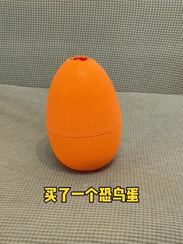 孵蛋猫又孵出了一只猫,丑丑当爸爸了!