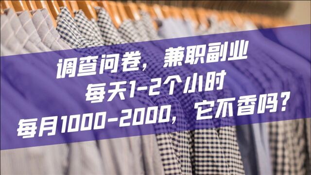 调查问卷,兼职副业,每天12个小时,每月10002000,它不香吗?