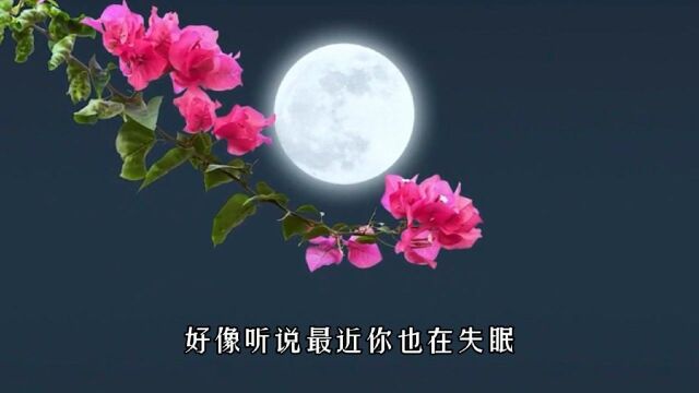 一首张杰的《我们一起看月亮爬上来》送给大家 又是一年中秋节 祝大家节日快乐