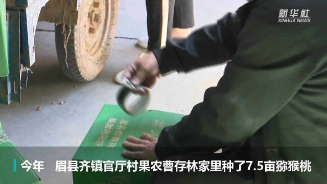 陕西眉县:猕猴桃销售搭上电商“快车”