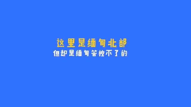 缅甸诈骗风云,叱咤金三角