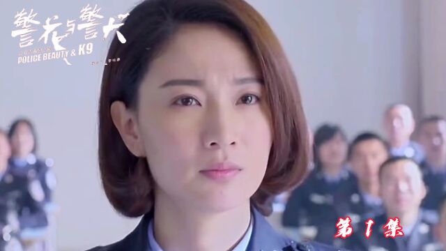 警花与警犬#一起看剧吧