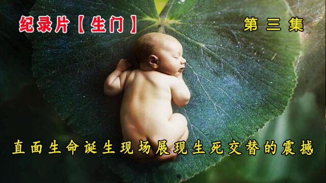 【纪录片】生门第3集!直面生命诞生的现场,展现生死交替的震撼!