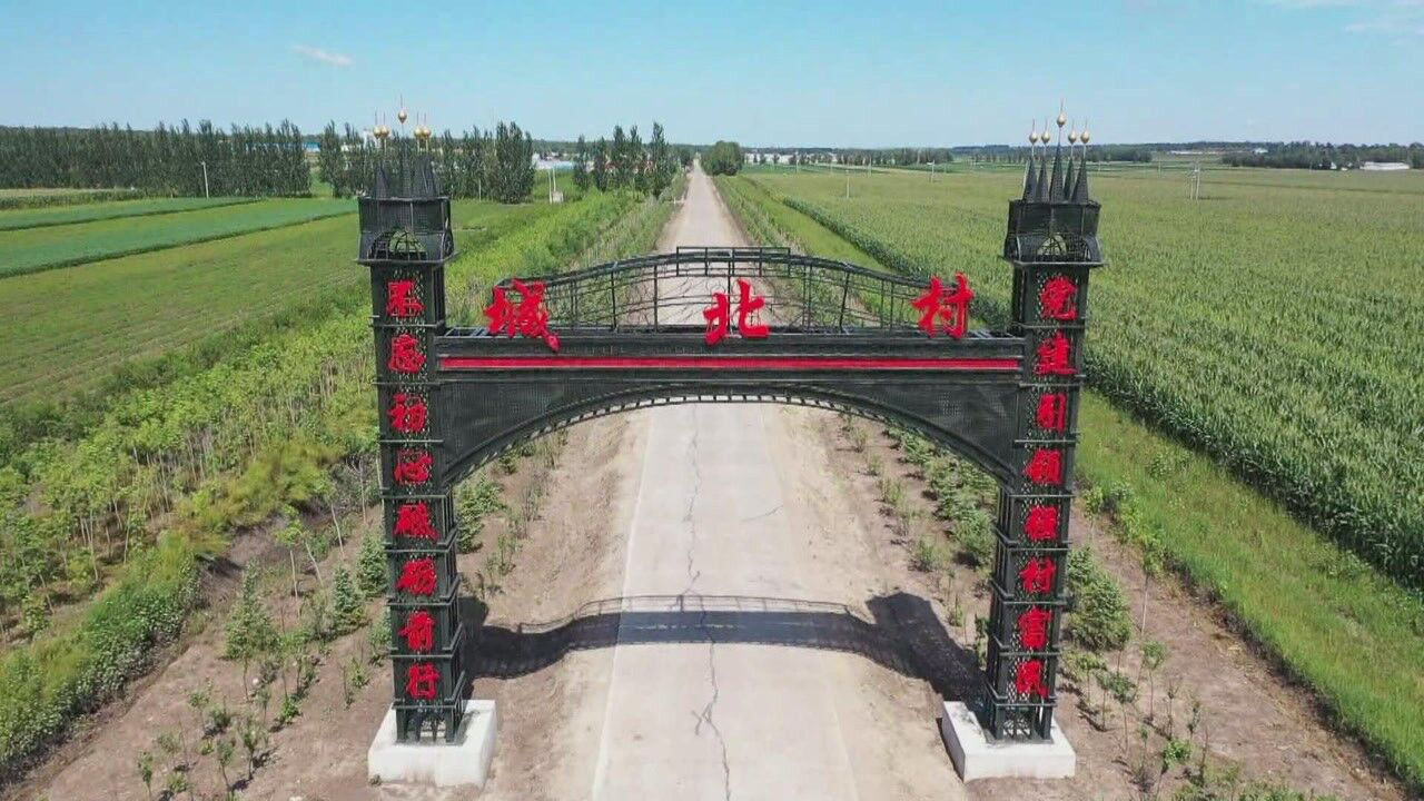 讷河市通江街道城北村宣传片