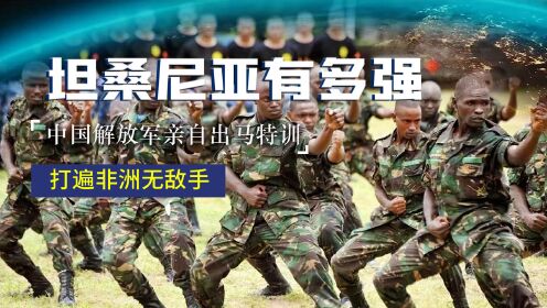 坦桑尼亚有多强？中国解放军亲自出马特训，打遍非洲无敌手
