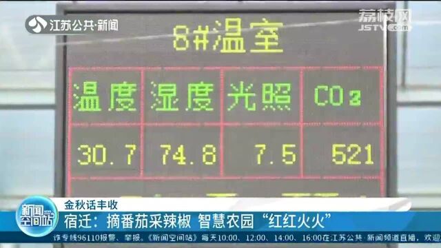 金秋话丰收!智慧农园“红红火火”迎丰收 铺就村民致富路