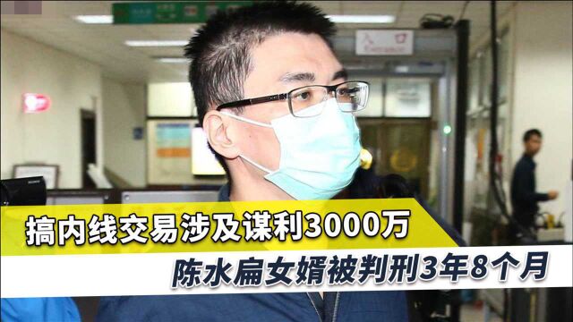 陈水扁女婿犯罪被判3年8个月,案件经过16年多轮的侦审和争讼