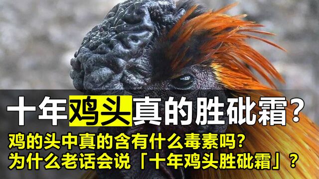 人们常说“十年鸡头胜砒霜”,究竟怎么回事?鸡的头真有毒吗?