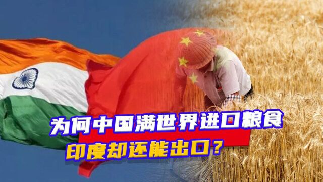 人口同样超13亿,为何中国满世界进口粮食,印度却还能出口?