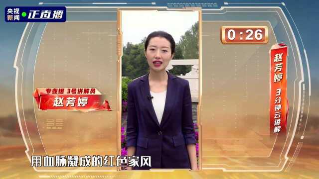 《全国红色故事讲解员大赛》专业组开赛