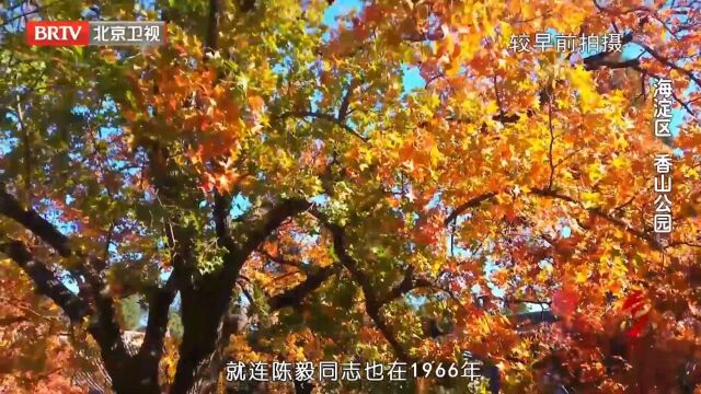 走进北京:网红打卡地——西山红叶