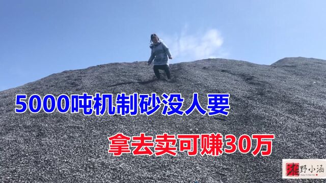 5000吨机制砂,荒废在山里没人要,免费装车,最少赚30万!