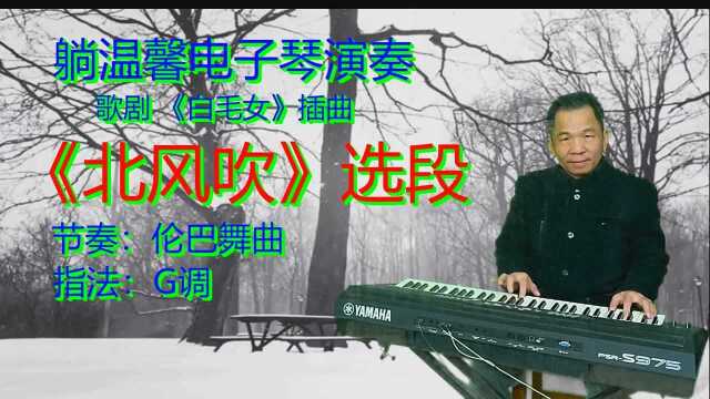 电子琴《北风吹》选段 歌剧《白毛女》插曲