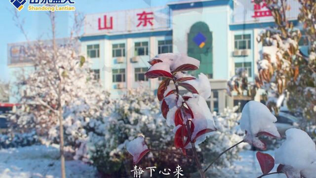 公司雪景 | 初雪下过的午后,想与你分享我满满地感动