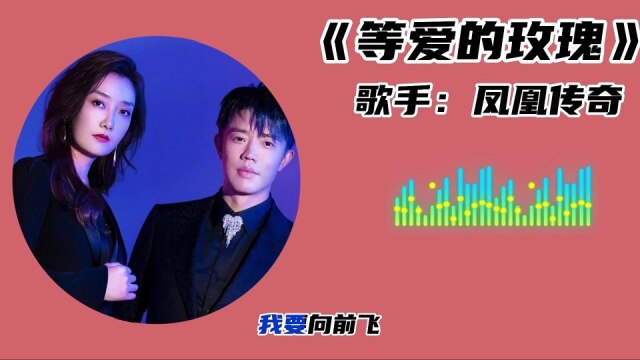 歌曲《等爱的玫瑰》
