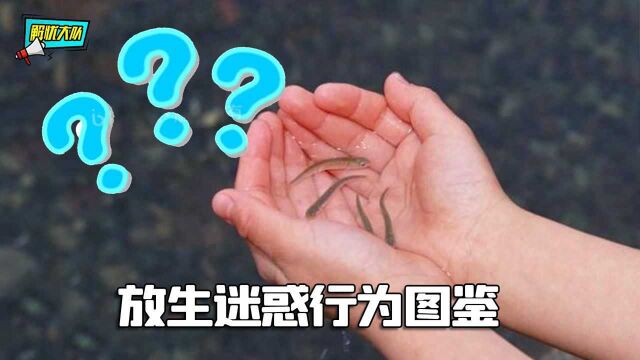 放生迷惑行为图鉴,你们就是传说中的“大善人”?