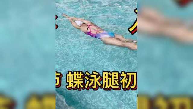 国家一级运动员教你|蝶泳入门第一节 蝶泳腿初学习