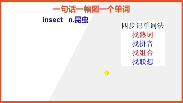 如何巧记英文单词insect