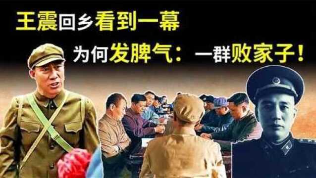 1961年,开国上将王震回乡看到一幕,为何发脾气一群败家子