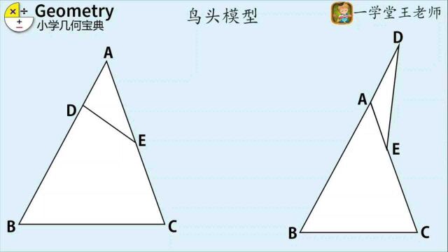 什么是鸟头模型?