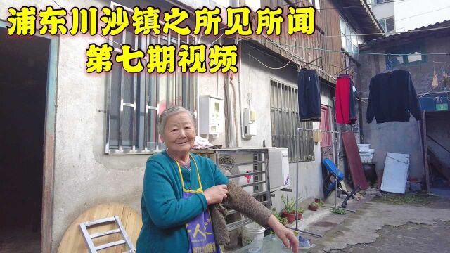 上海浦东川沙镇400年老宅,留守老人在农场工作,退休金4000多