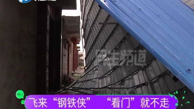 河南汝州:一彩钢房盖被大风掀落,砸到四户房子