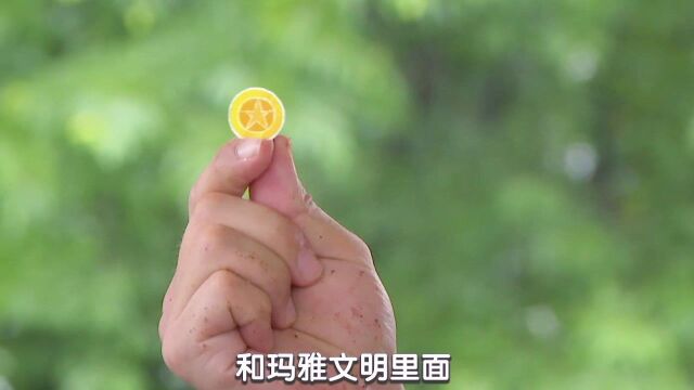 【冷知识】这种豆子不仅好吃,居然还能当钱花?不到100粒就能买一身国王的衣服! | 糕妈家的疯狂周末