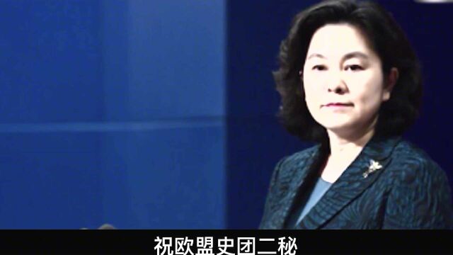 不好惹的中国女人中国首位女新闻司长,华春莹的传奇人生!