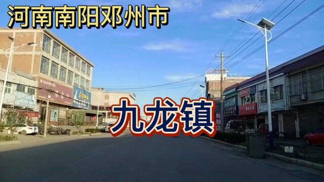 河南南阳邓州市,九龙镇!