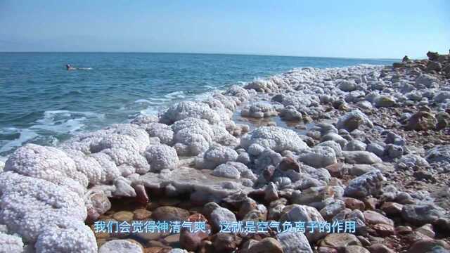 你知道空气维生素——负氧离子吗?为什么在森林中,能给人身心轻松的感觉呢?