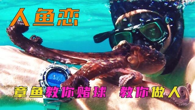 01:我的初恋海底生物 章鱼'小姐',终于对我卸下所有防备!