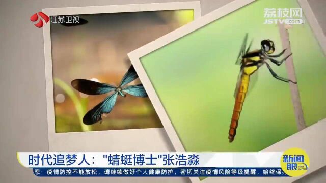 儿时热爱终成梦想 “蜻蜓博士”张浩淼:野外“追寻”20多年