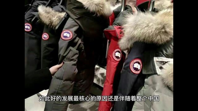 加拿大鹅被质疑双标?中国作为其最大市场,为啥还敢这么干?