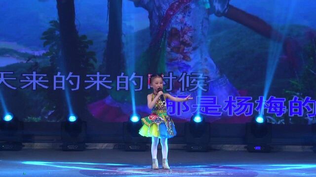 艺术节声乐400李若溪《杨梅小姑娘》