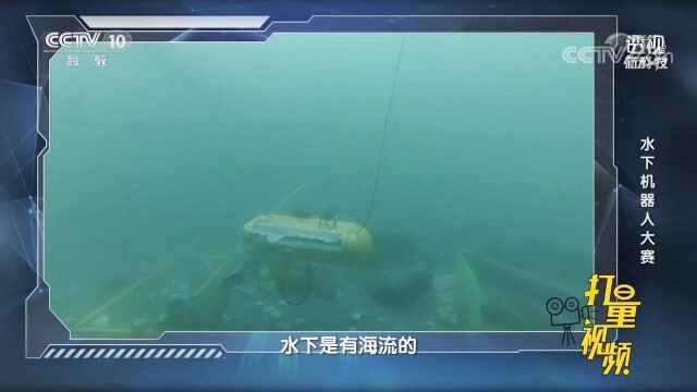 海珍品在海中会缓慢位移,水下机器人如何进行捕捉?