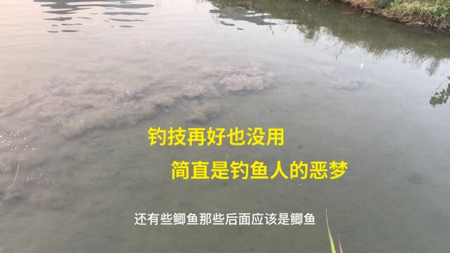 生活纪实:这些吊毛鱼,怎么钓也不吃,看来只能放水了!