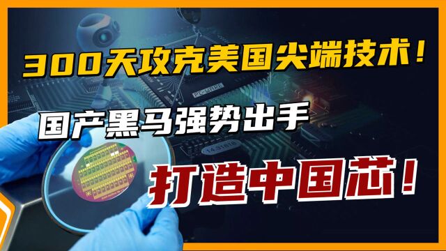 美企领先21年,国产300天突破高端GPU,是研发奇迹还是一场骗局?