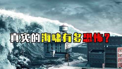 10年前日本夺命海啸，一段未公开视频震惊世界！人类如蝼蚁般逃窜